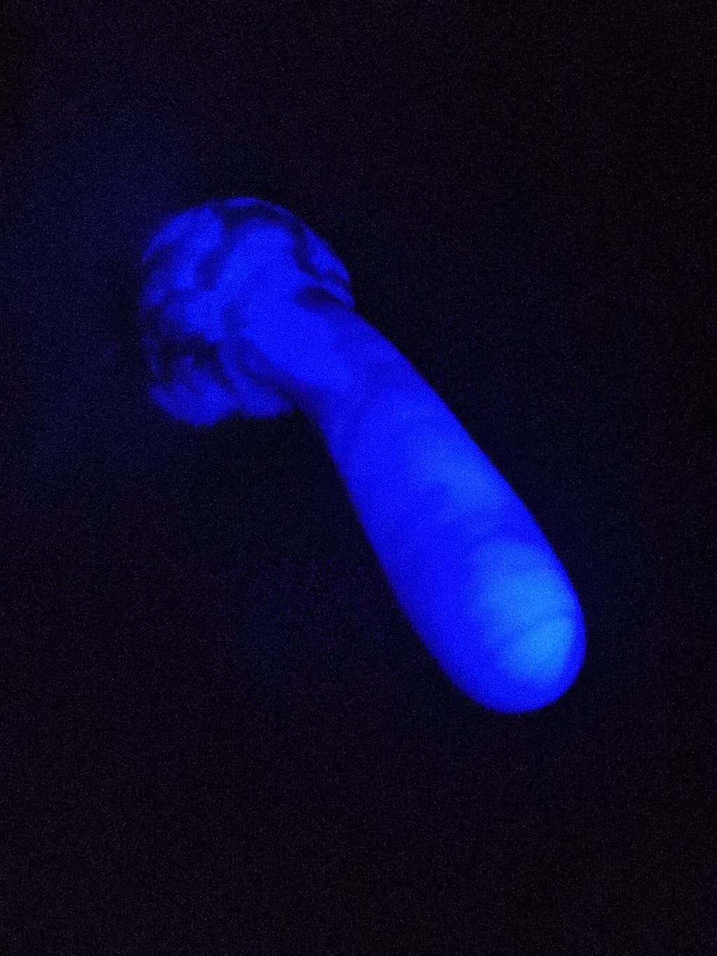 Wonder GITD Pastel Cream Pink (Medium, Medium-Soft 00-50)